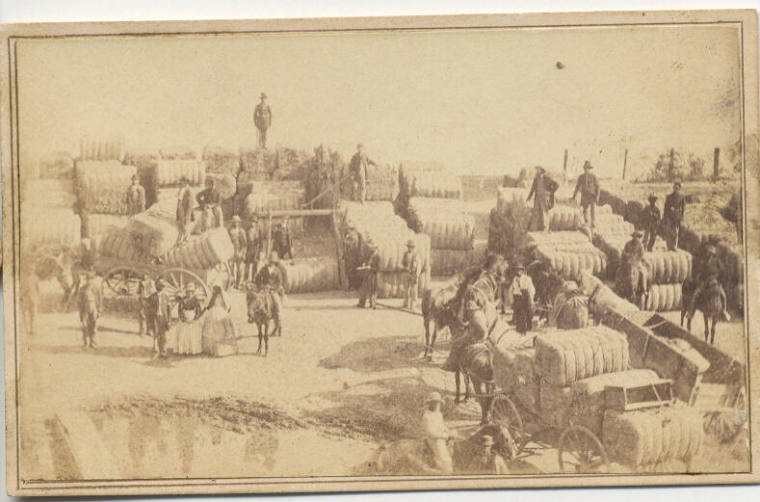 CDV loading cotton in Helena