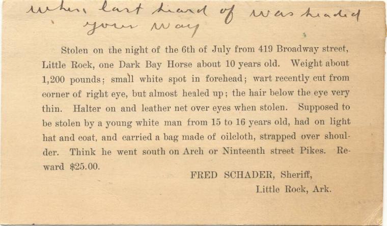 reward card for stolen horse