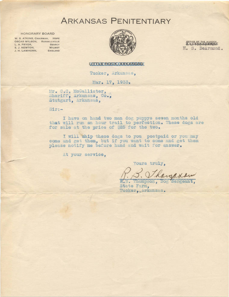 letter regarding bloodhounds for sale