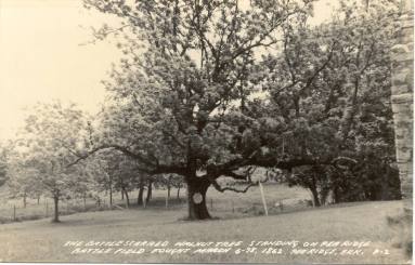 Postcard of the Pea Ridge Battlefield