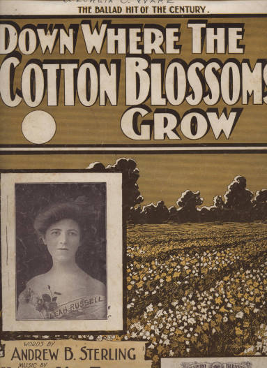 Sheet Music, "Down Where the Cotton Blossoms Grow"