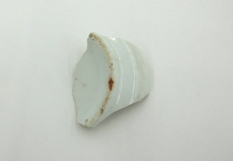 Piece of Ceramic, OSH Grounds