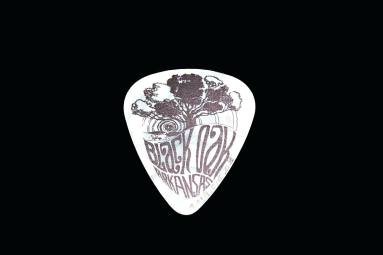 Guitar Pick, Autographed - Rickie Lee Reynolds