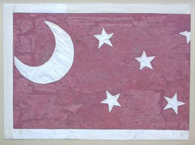 17th Arkansas Volunteer Infantry Flag