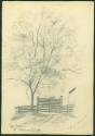 Pencil Sketches by Elizabeth L. Broach of Fordyce, AR.