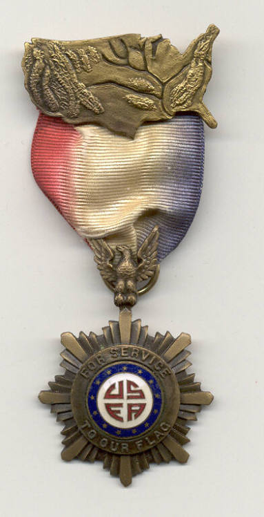 U.S. Flag Association Pin