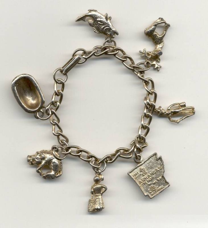 Arkansas charm bracelet