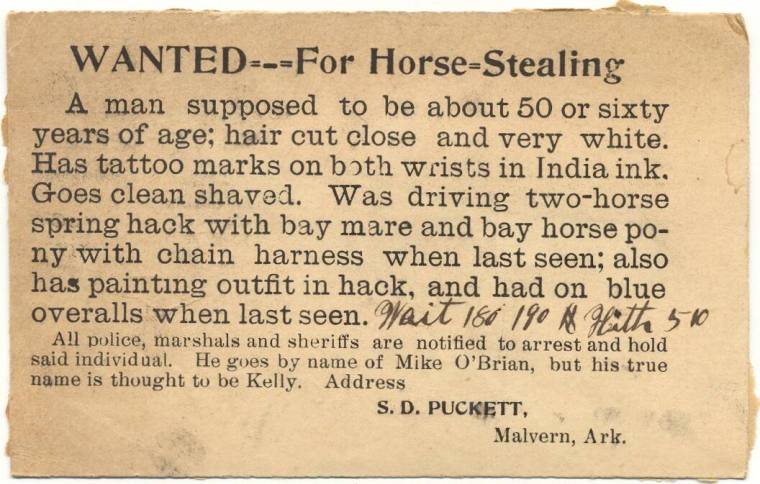 reward card for horse theft