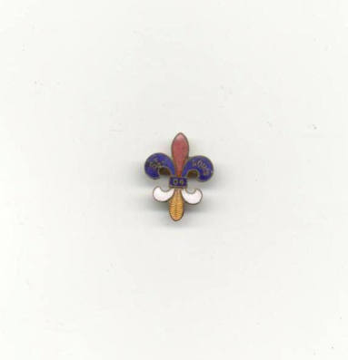 1904 World's Fair enamel fleur-de-lys pin