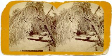 Stereoview of Ice Grove, Niagara Falls, Canadian side