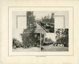 Print - Forest Park & Cotton Compress