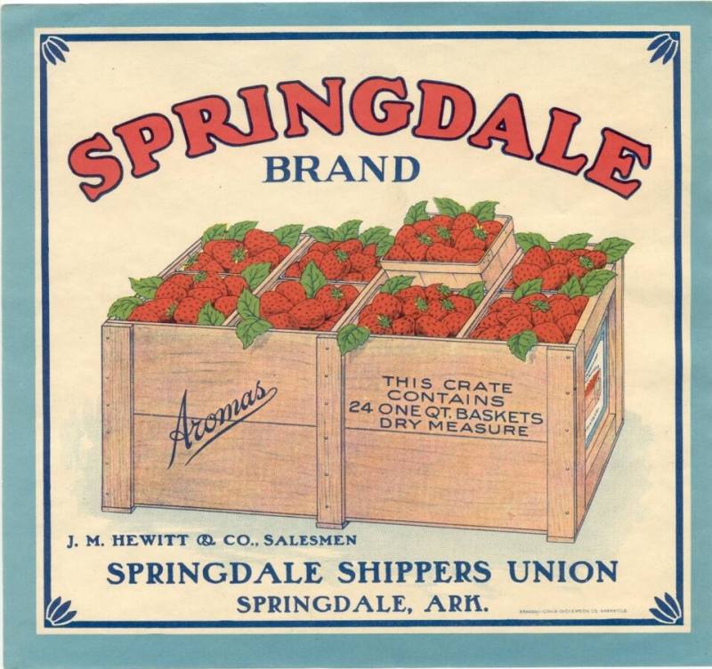 Label - Springdale Strawberries