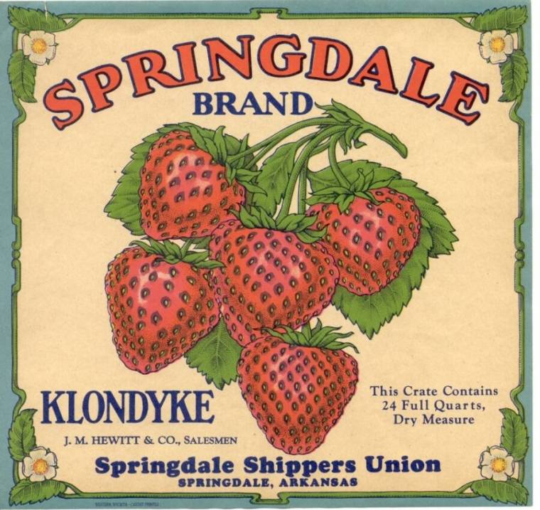 Label - Springdale Strawberries