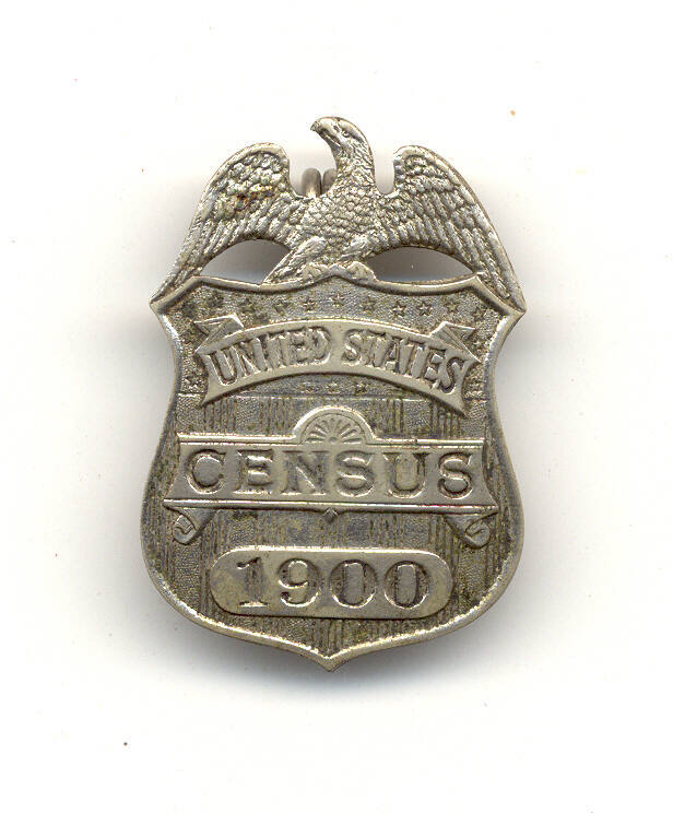 United States Census Badge