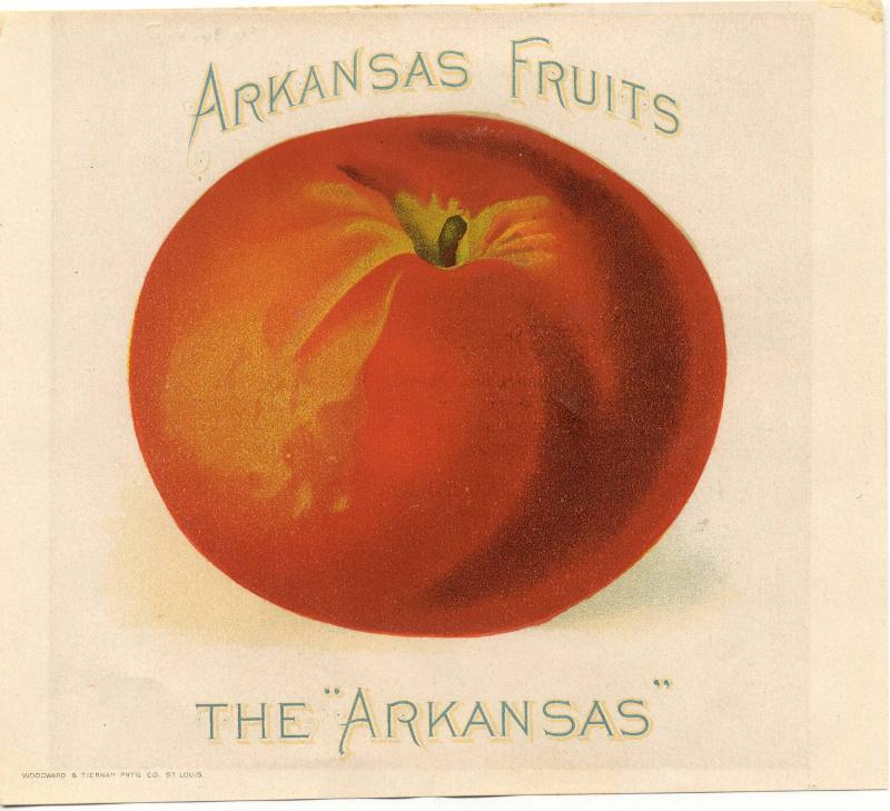 Colored Lithograph - The Arkansas Apple