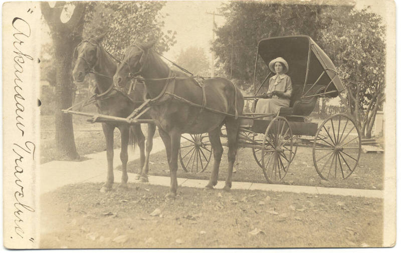 Suffrage Postcard - Arkansas Traveler