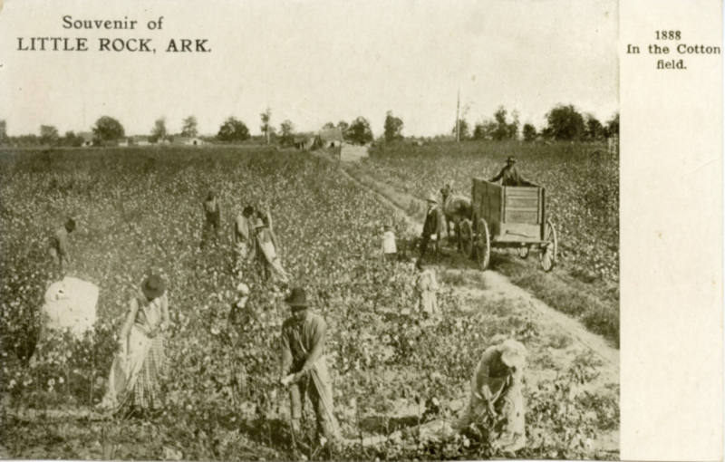 Little Rock Postcard