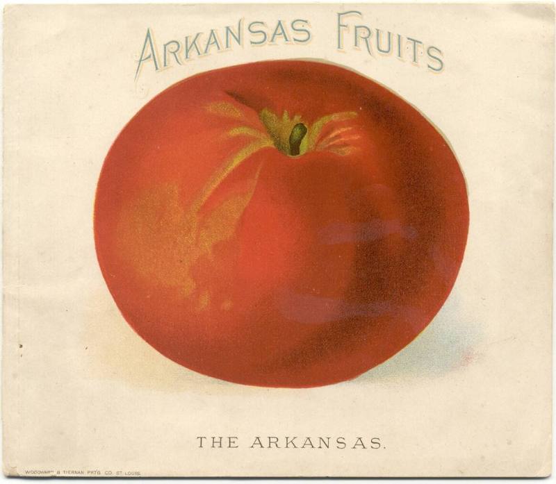 Booklet about Arkansas Fruits