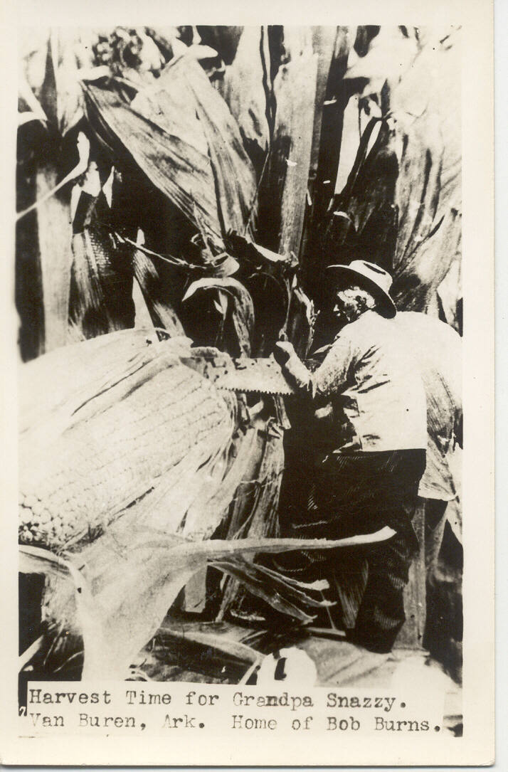 postcard - Grandpa Snazzy at harvest time