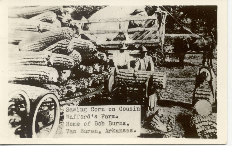 postcard - sawing corn on Cousin Wafford's farm