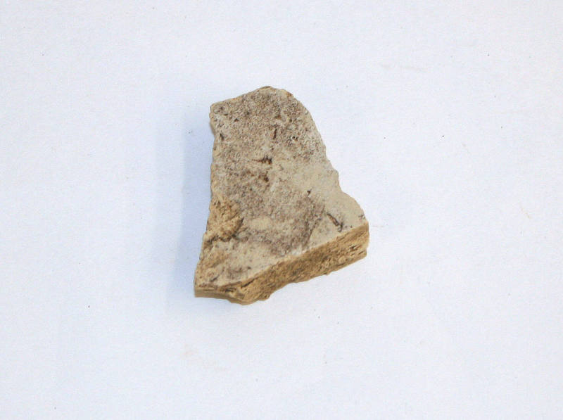 Ceramic Sherd