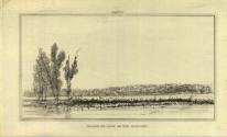 Print, Etched - "Island Logs on the Missouri"