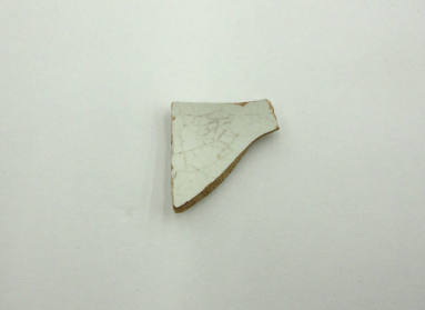 Piece of Ceramic - OSH Grounds