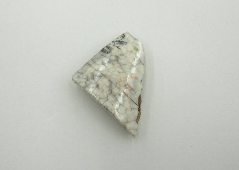 Piece of Ceramic - OSH Grounds