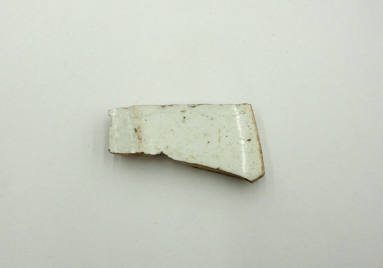 Piece of Ceramic - OSH Grounds