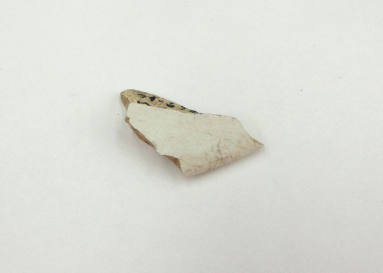 Piece of Ceramic, OSH Grounds