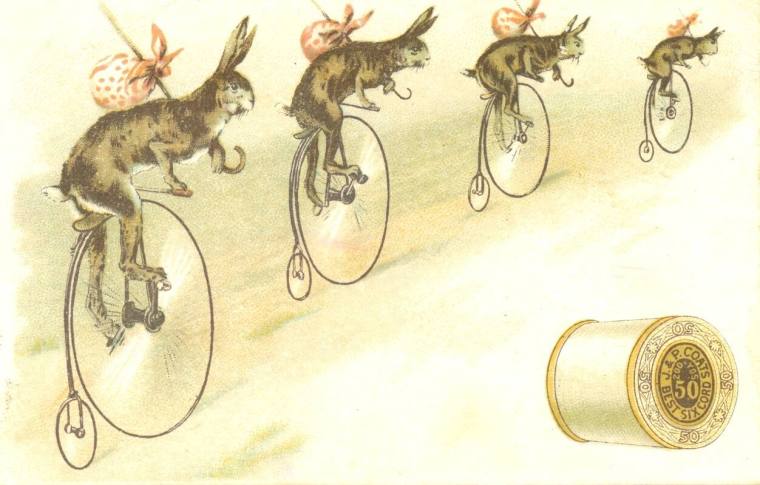 Postcard, Rabbits on High Wheel Bicycles