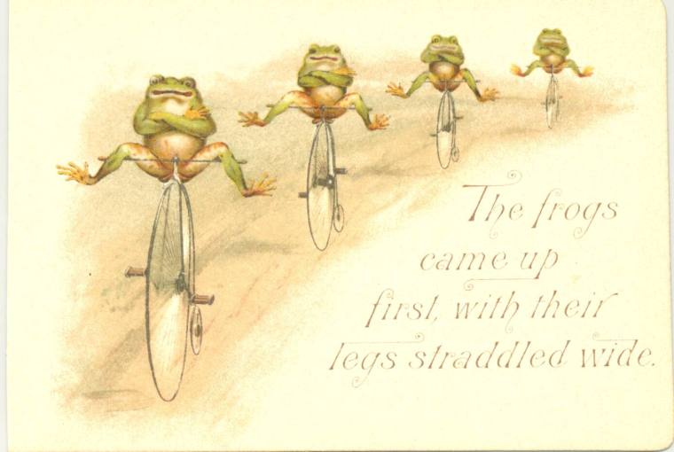 Print, Chromolith - Frogs on High Wheel Bicycles