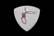 Guitar Pick, Signed - Cinderella