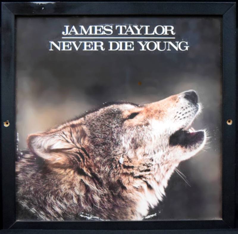 Album, "Never Die Young" - James Taylor