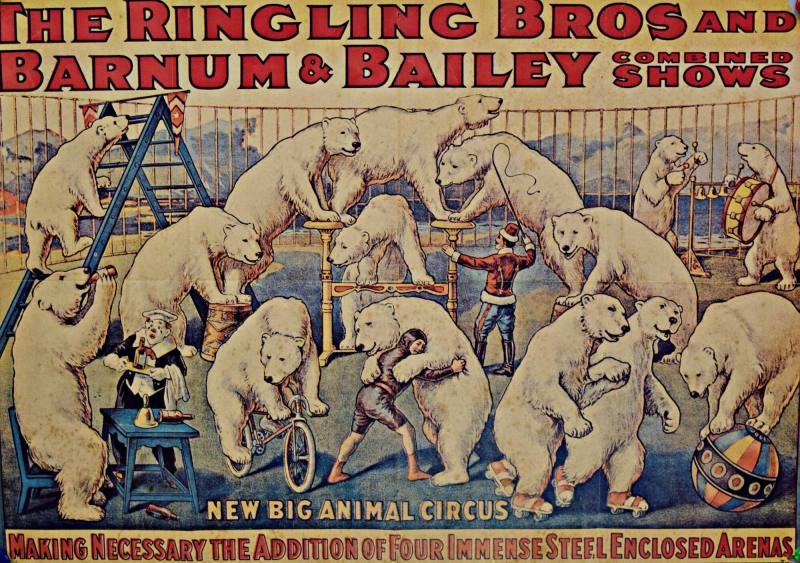 Poster, Ringling Bros. and Barnum & Bailey Combined Shows: New Animal Circus