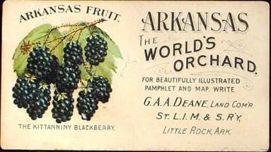 Advertising Card