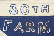 Turnball's 30th Regiment AR Volunteer Infantry flag.
