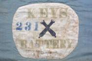 Combined 8th and 19th Arkansas Volunteer Infantry Flag