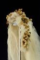 Mrs. Anne Price Roarke Brough's wedding veil.