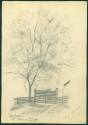 Pencil Sketches by Elizabeth L. Broach of Fordyce, AR.